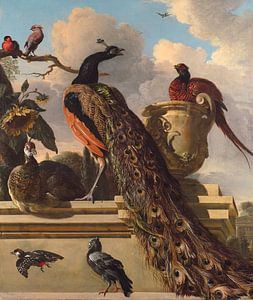 Vögel im Park, Melchior d'Hondecoeter