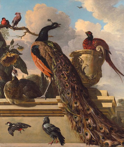 Vögel im Park, Melchior d'Hondecoeter von Bridgeman Masters