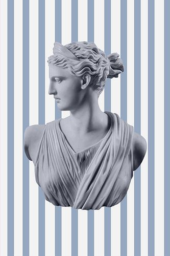 Artemisblauwstrepen Verhouding2x3