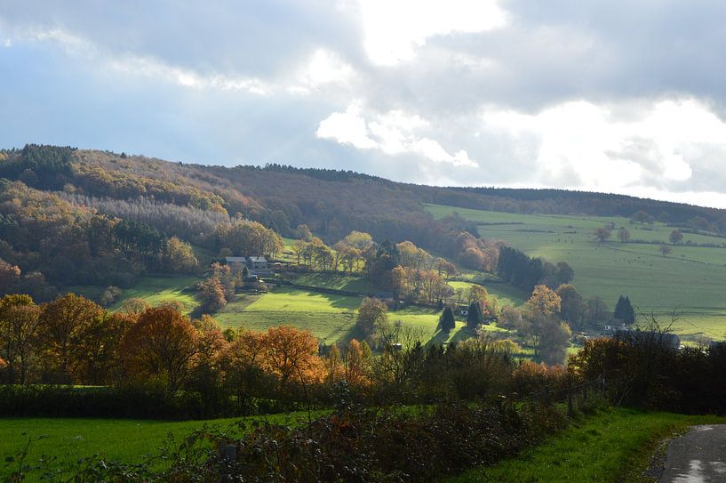 Landschap in de Ardennen van Kim V