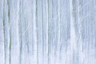  Winterwald von Martzen Fotografie Miniaturansicht