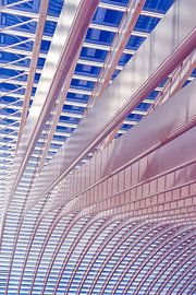 Guillemins station by Lucas De Beleyr