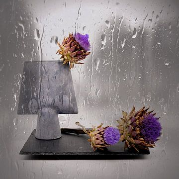 Still life with rain and arti cages. by Saskia Dingemans Awarded Photographer