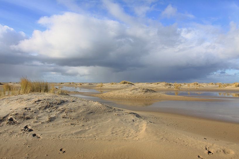 Ameland /Schöner Himmel von Rinnie Wijnstra