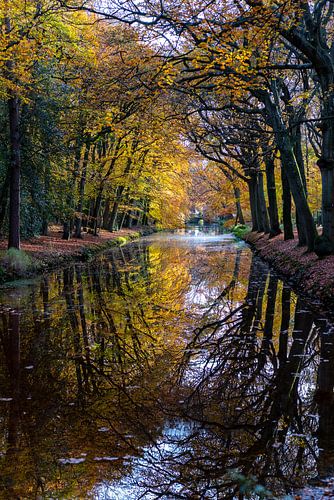 Herfst reflectie