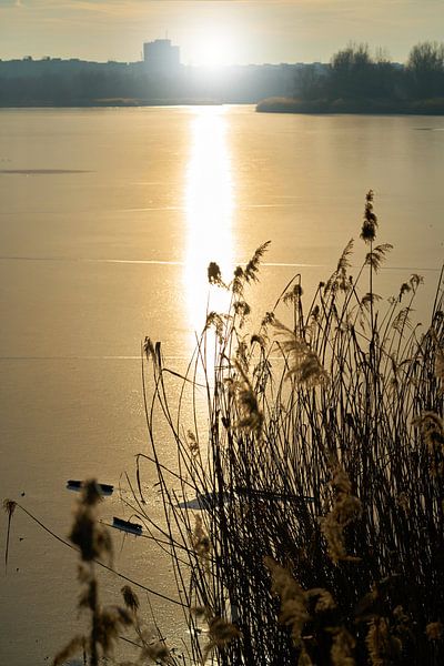Neustädter See im Norden der Stadt Magdeburg bei Sonnenuntergang von Heiko Kueverling