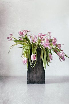 Tulpen vergaan.... (II)