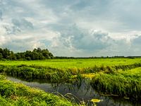 Dutch Landscape