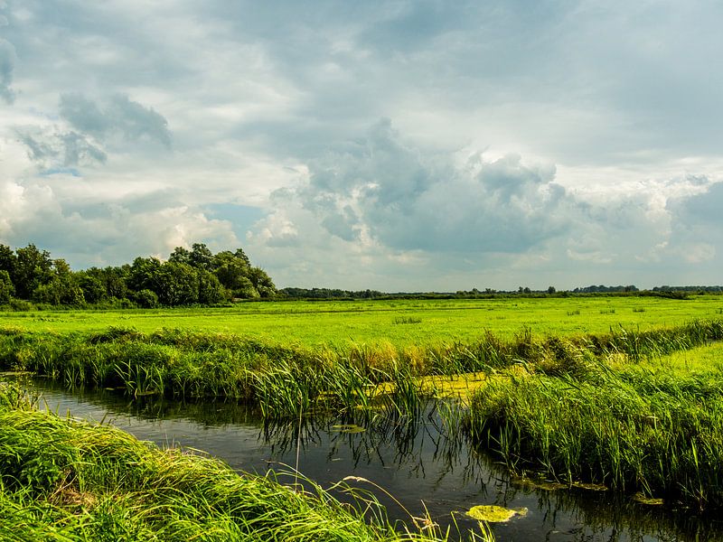 Dutch Landscape by Michel Aalders