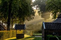 Zonnestralen in de mist.