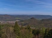 Panoramablick über den Pfälzer Wald von Timon Schneider Miniaturansicht