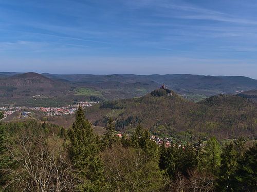 Panoramisch uitzicht over het Pfälzerwald