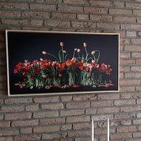 Photo de nos clients: Tulipes des Pays-Bas par Dirk Verwoerd, sur toile