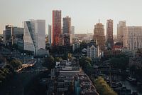 Rotterdam