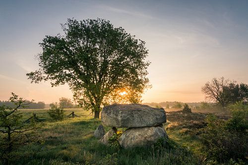L'éternité dans la lumière du matin : l'héritage de la lande de Steinalkenheide
