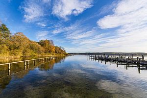 Steg und Bäume am Plauer See in der Stadt Plau am See