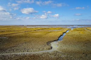 Salt marsh by rosstek ®