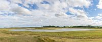 Waterplas in het Zwin te Knokke-Heist