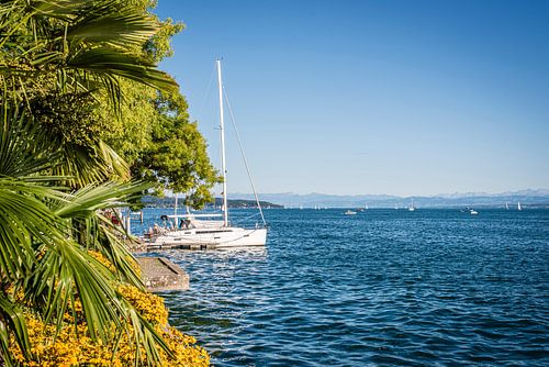 Zeilboot en palmbomen