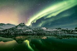 Nordlichter über einem Fjord auf den Lofoten in Norwegen