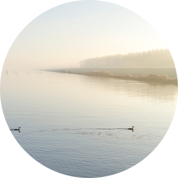 IJsselmeer met Futen.