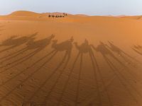 Reis naar de Sahara woestijn in Marokko