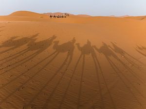 Voyage dans le désert du Sahara au Maroc sur Shanti Hesse