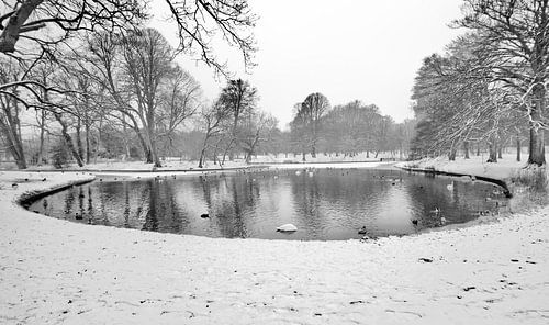 Winter in Clingendael