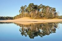 Eiland Bos - Henschotermeer