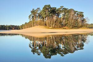 Eiland Bos - Henschotermeer