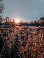 Zonsopkomst