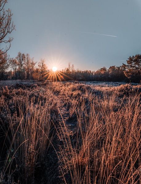 Sunrise by Andreas Vanhoutte