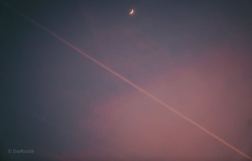 Nuit silencieuse, ombres douces par IlseKoole