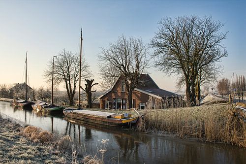 Een koude Winterochtend in Maasland