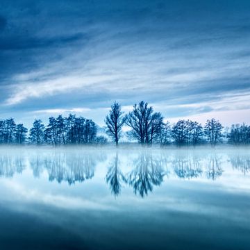 Blue hour trees van Ruud Peters