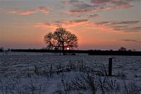 Winter II