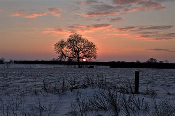 Lever de soleil III