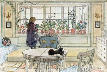 Carl Larsson,Bloemen op de vensterbank, 1895
