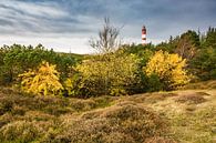 Leuchtturm in Wittdün auf der Insel Amrum van Rico Ködder thumbnail