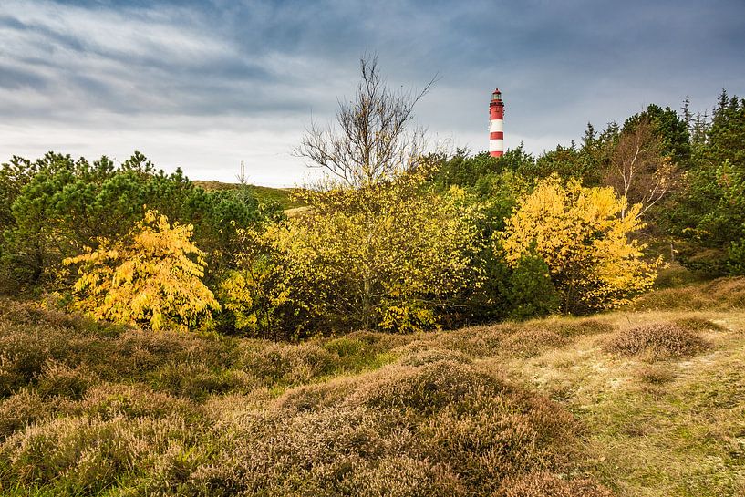 Leuchtturm in Wittdün auf der Insel Amrum van Rico Ködder