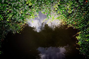 View from the bridge by Jan van der Knaap