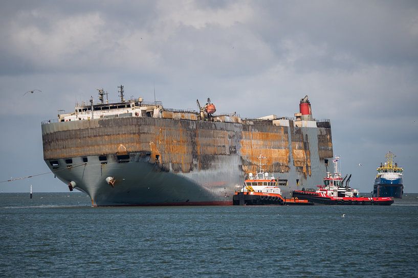 Disaster ship Fremantle Highway by Jan Georg Meijer