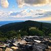 Whispering Spruce Trail van Walljar