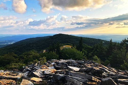 Whispering Spruce Trail