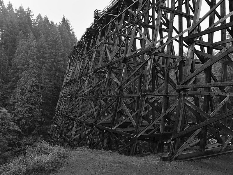 Old railway bridge by Timon Schneider