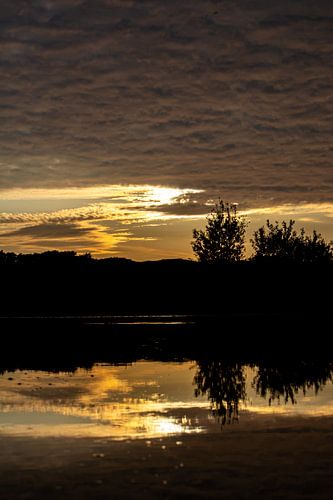 La beauté de la réflexion