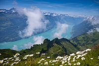 Brienzer Rothorn - 2