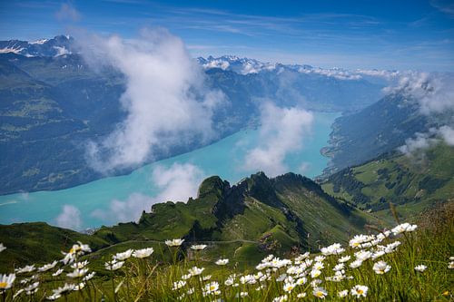 Brienzer Rothorn - 2