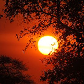 Sonnenuntergang in Namibia von Herman van Egmond