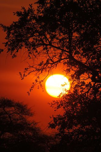 Sunset in Namibia